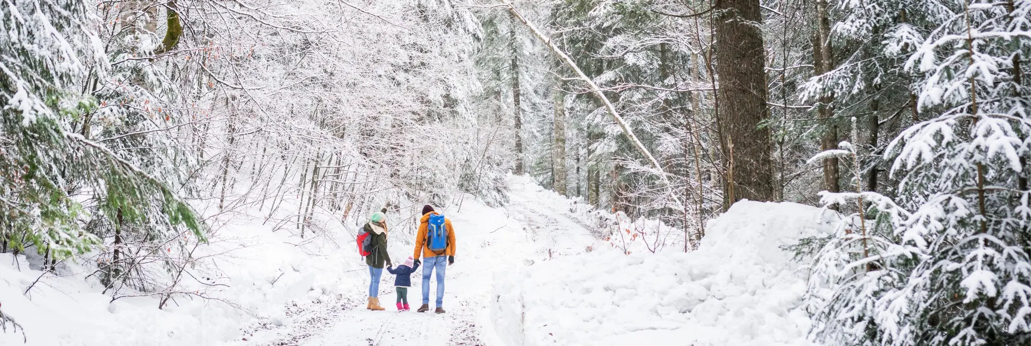 winter break travel